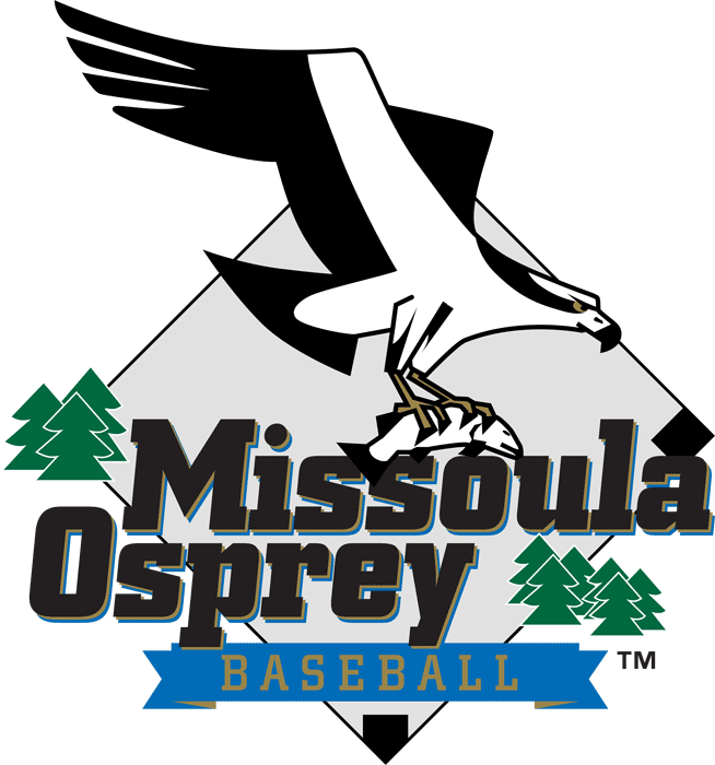 Missoula Osprey 1999-Pres Primary Logo iron on transfers for clothing